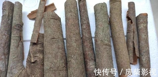 丁香|教你制作2款广谱性好、又简单的钓鱼药酒