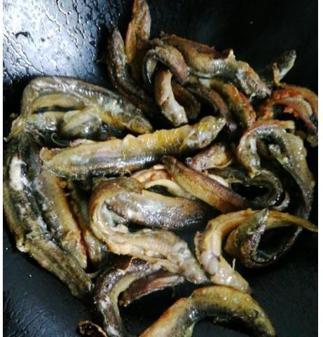 泥鳅|眼下最好吃的鱼,15块钱1斤,味美价廉,肉多刺少,老少皆宜