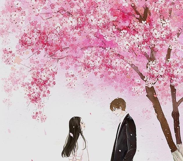 男主$5本女主穿书治愈救赎男主的文，冗长的黑夜中，你是我唯一的光！