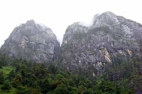 错那县|再见山南杜鹃花丨一生必去的绝美秘境!