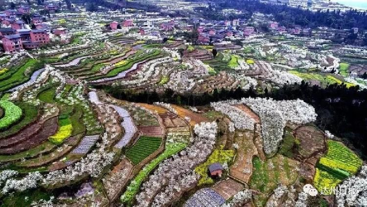 春游川渝丨踏青赏花采摘，达州最全春游赏花地图来了