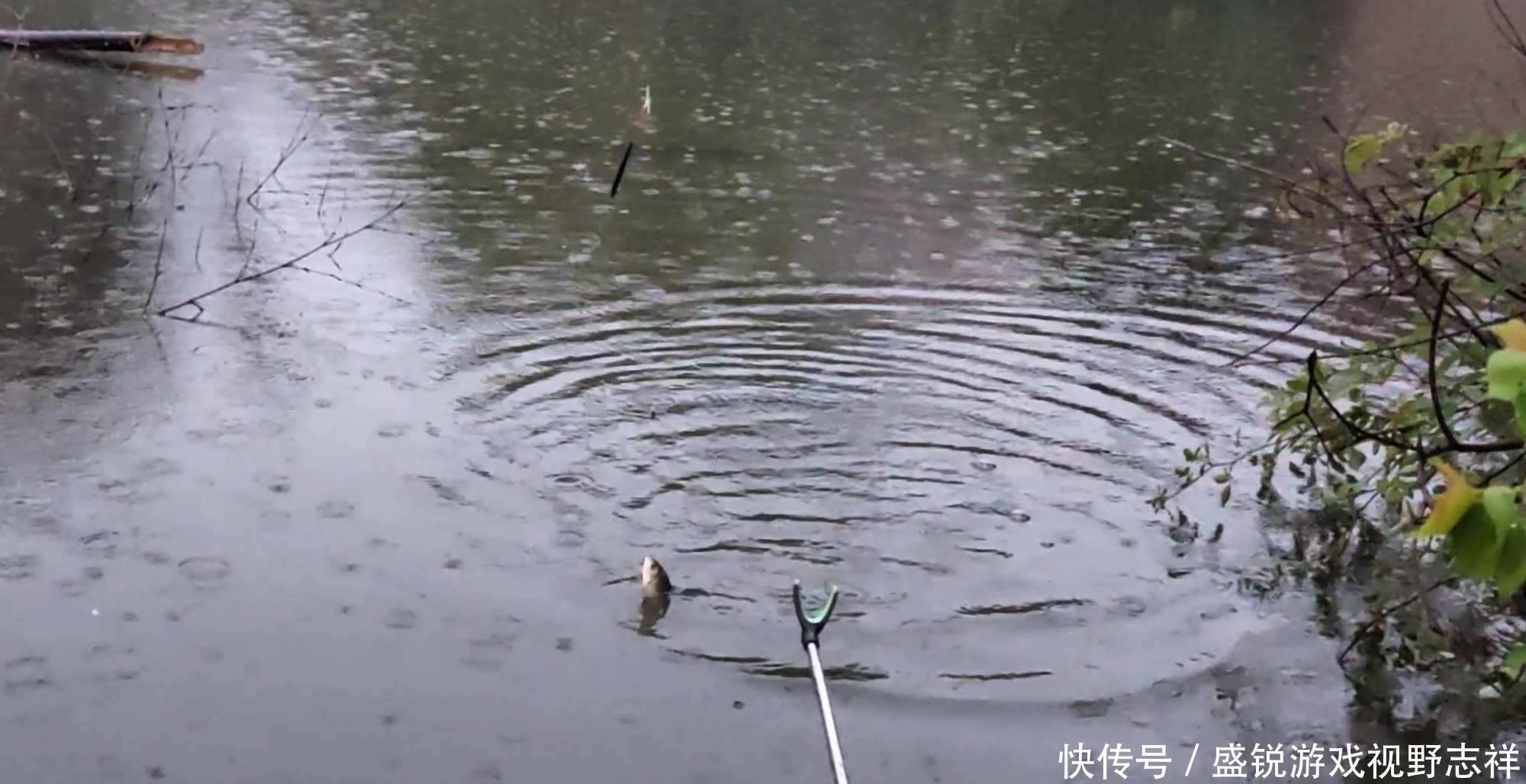 用武之地|入夏用素饵,蚯蚓无用武之地?你没用对方法!这样用比饵料好多了