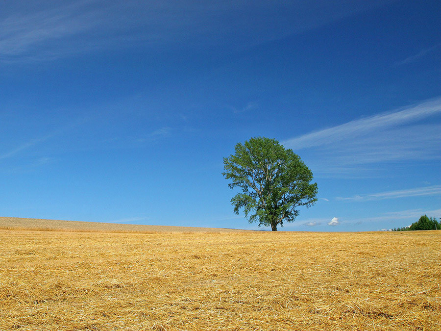 钱财大|7天内“不得了”,钱财大涨,即将走上发财之路的生肖