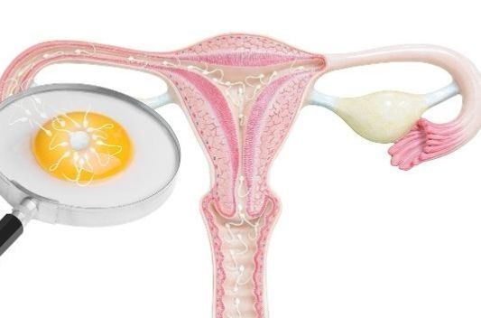 怀孕|女性输卵管只有一侧,还能怀孕生子吗你清楚吗了解一下