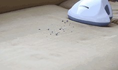 瘙痒|90的人都在陪螨虫睡觉螨虫最怕3种东西,好好利用,螨虫跑光光