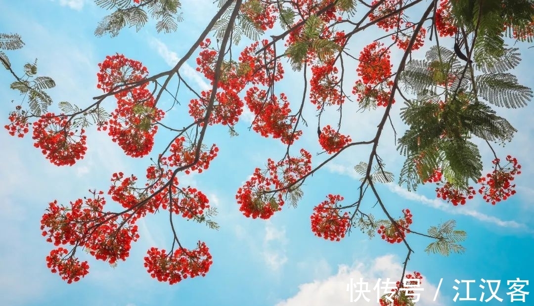 王维|九首情谊古诗词:青山空向一帆远,汀州落日五湖春