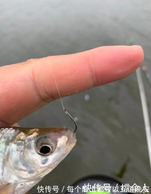 钓具|野钓实用性很高的3种钩型,分别应对大中小3类鱼情---皇禾钓具
