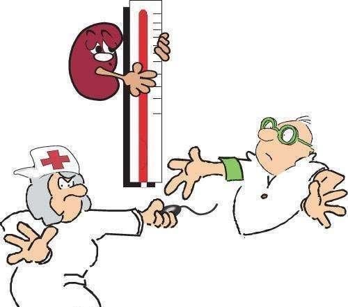 血脂异常|高血压、高血脂、高血糖最怕6种叶子茶,用它泡水喝,身体更健康