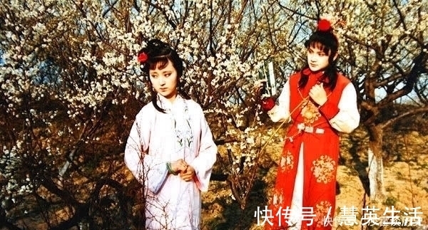 贾宝玉|贾宝玉对黛玉有没有逾越?他曾跟柳湘莲说过一句话,结果不言而喻