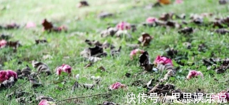 这首诗$李清照的这首《残花》,被很多认为是败笔,虽然有瑕疵但同样经典