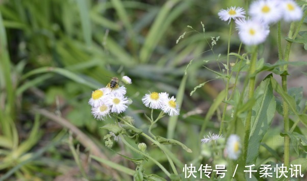 方达|人的命运中有3条天规，顺应则天送鸿运，财富多多！