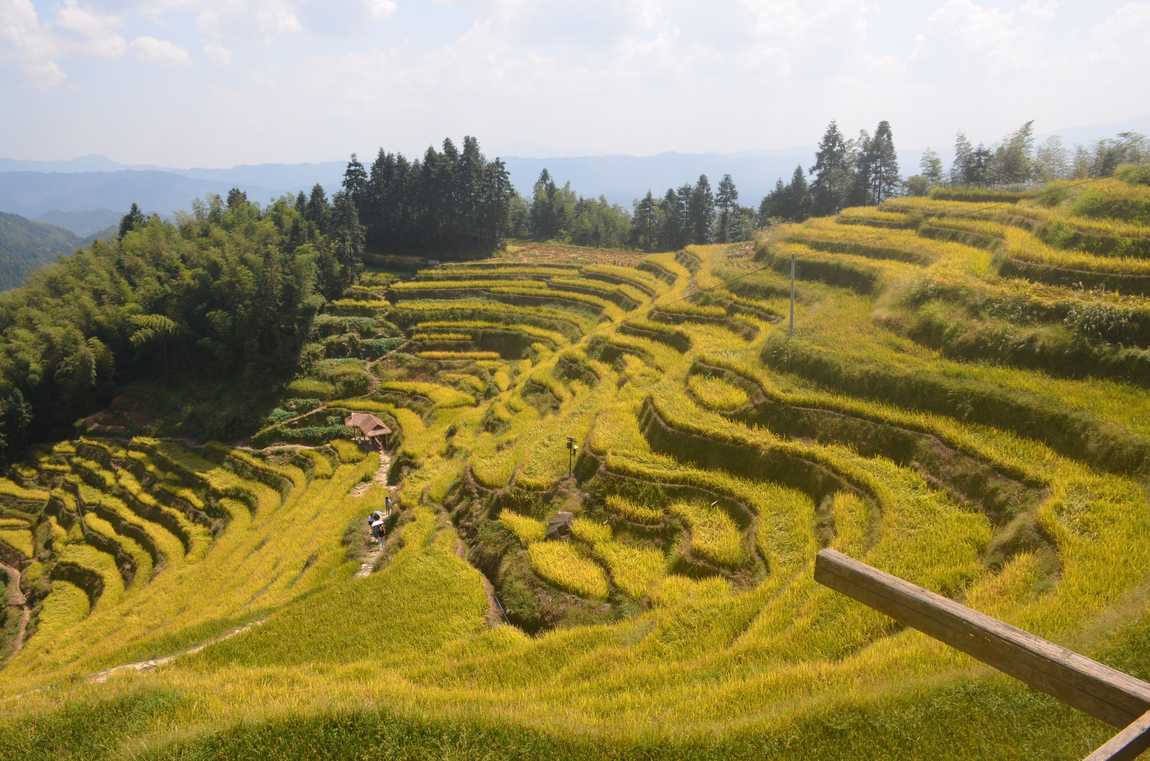 万峰林|自驾游贵州-肇兴侗寨-平塘天眼-兴义万峰林-晴隆二十四道拐