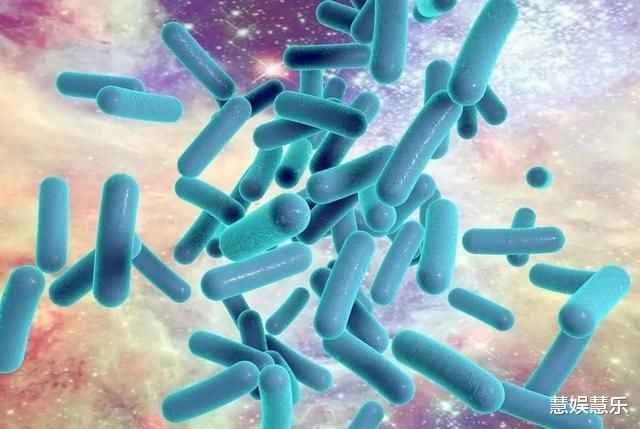 消化科醫(yī)生：胃不好，盡量少吃這3種食物，想養(yǎng)胃，嘗試這2種東西