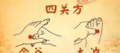 药材|四君子汤,补气养血第一名方!灸透身体这4穴,胜喝四君子汤!