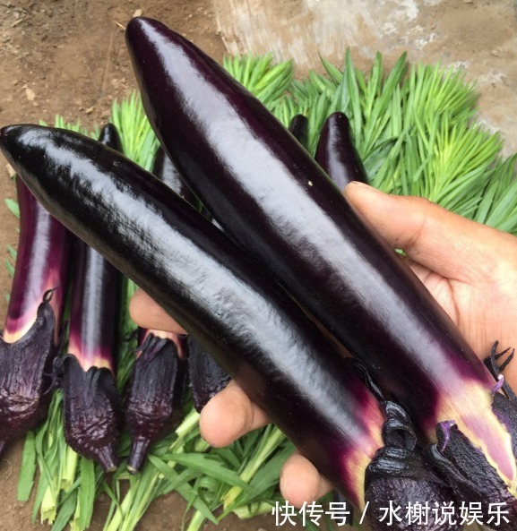 茄肉|做蒸茄子,先别直接放蒸锅,多加这一步,茄肉细滑不发黑