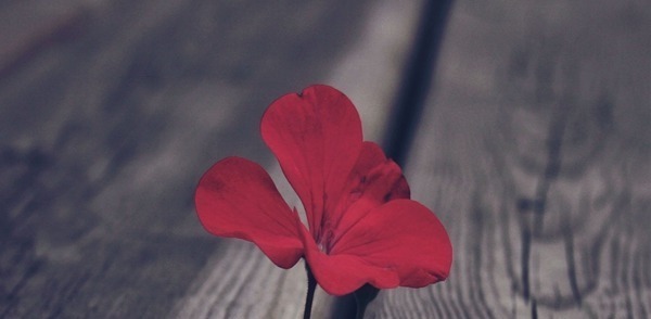 添加|妈妈注意 宝宝辅食添加的有什么讲究!妈妈注意 宝宝辅食添加的有什么讲究!