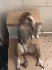 |搞笑段子:有哪些段子,能让人笑到肾抽筋?第109辑