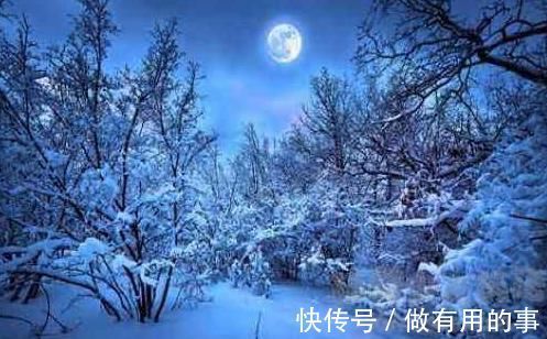 这首诗|白居易特奇特一首诗，看似写人实则写雪，形象生动，读完美不胜收