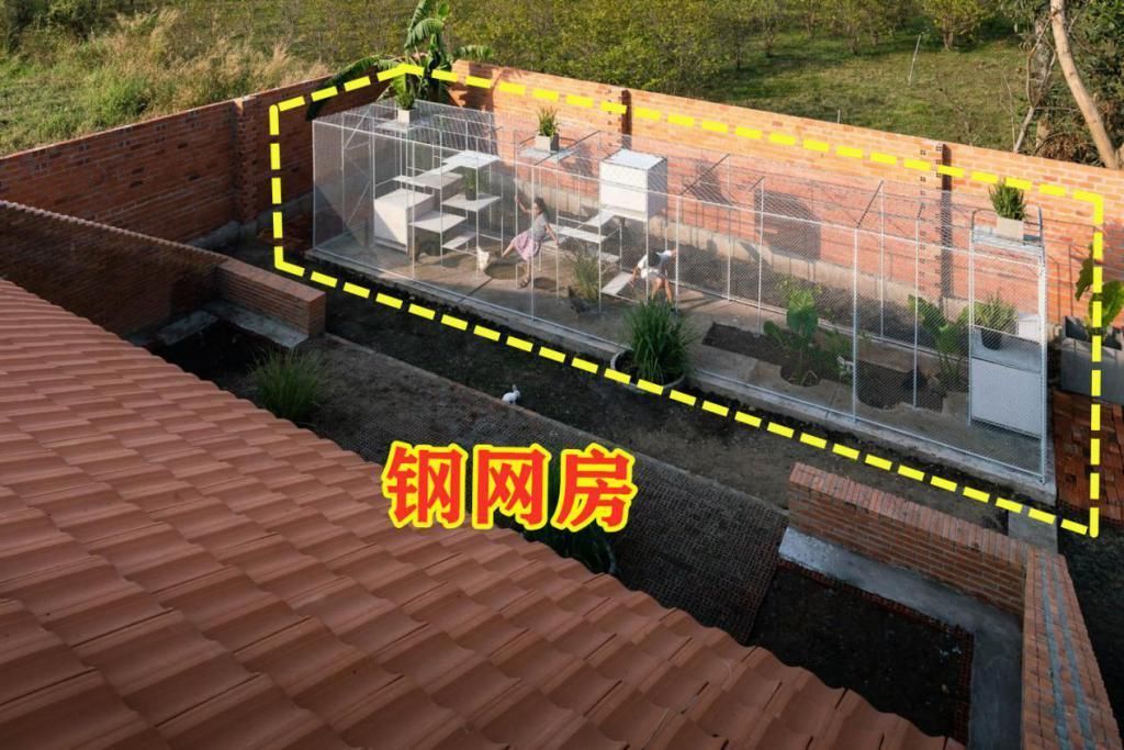 钢网房|如果你家有个院子,也要搭个钢网房,在里面养鸡养花,生活好自在