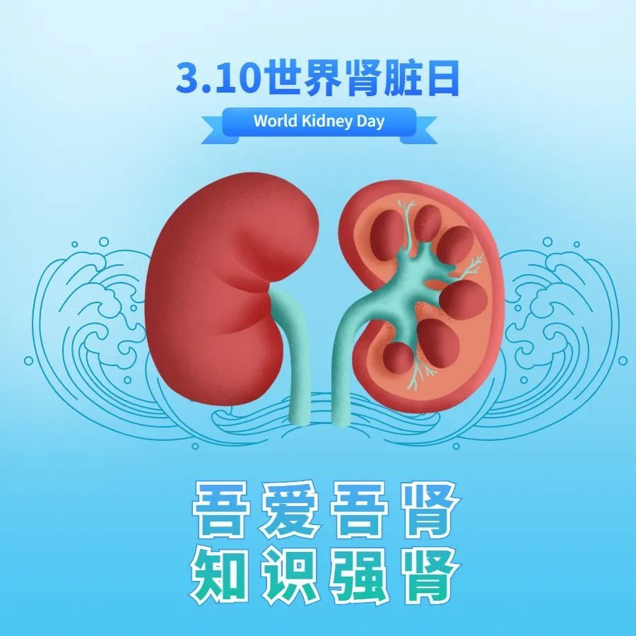 Kidney problems, 6 manifestations at a glance! Quickly check yourself →