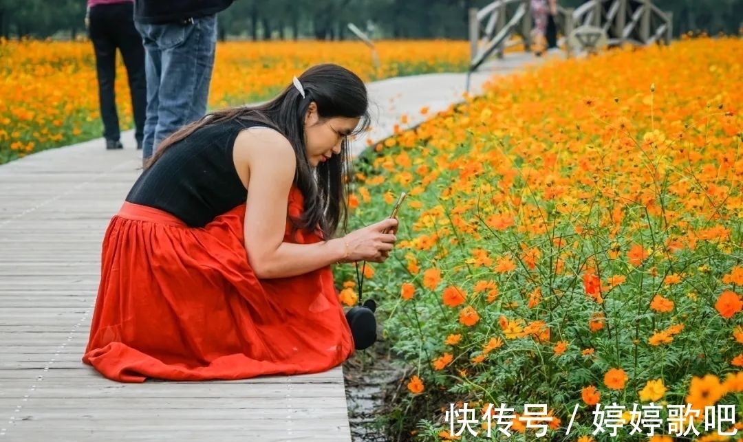 宁波城区|抓住机会！这可能是宁波城区今年的最后一片花海！