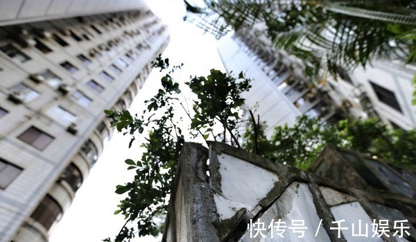 东户|买房不想走弯路,牢记“买边、买中、不买3”,基本不会选错房!