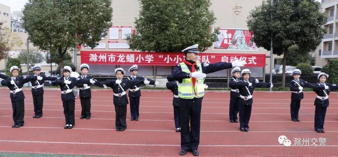 小学|交警支队为龙蟠小学“小小交警队”授旗