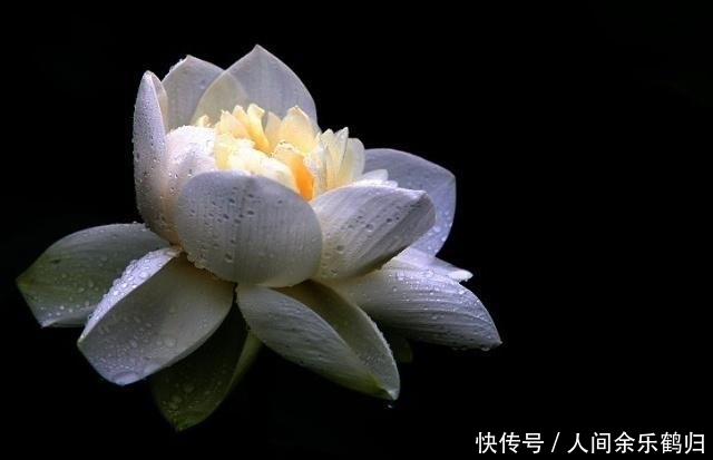 遥远的距离|做人,若是理不清这三种关系,人生会很苦