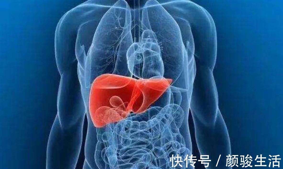 养肝护肝|肝不舒服？中医建议：经常泡下列4种中药喝，有助于养肝护肝