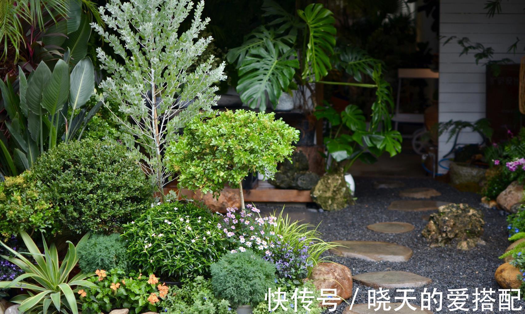 治愈系|小空间庭院花园,正确的绿植搭配技巧,让小院落变身治愈系小花园