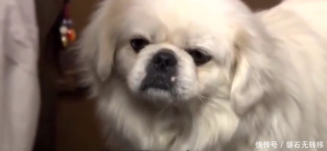 果断|慈禧出难题,用一个字把她逗笑,李莲英果断跳河