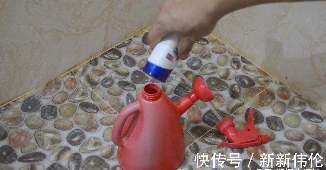 卫生间墙角喷一些它, 角落不脏不臭, 还没有小飞虫, 试过的人都夸好