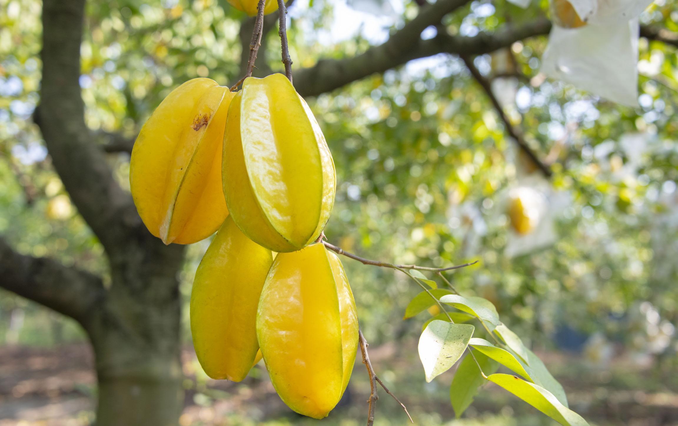 酸素|超市很常见的3种食物，补充营养，延缓衰老，身体棒棒哒！