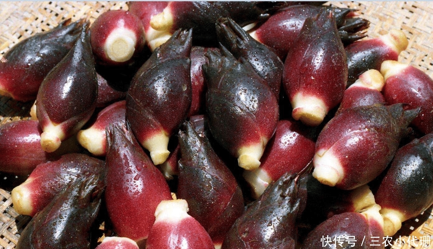 废柴|一种听说过得人多,以前被当废柴烧火的东西,现在价格早已突破天际