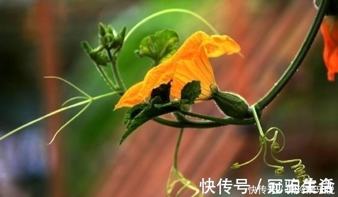 效忠!鬼谷子识人术一个人有没有出息,看这三点就够了