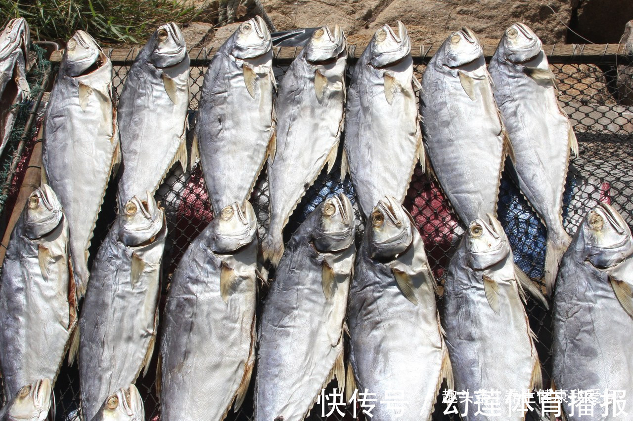 想要长寿|医学教授:长寿的7大特征!50岁以后有3个以上,多半会长命