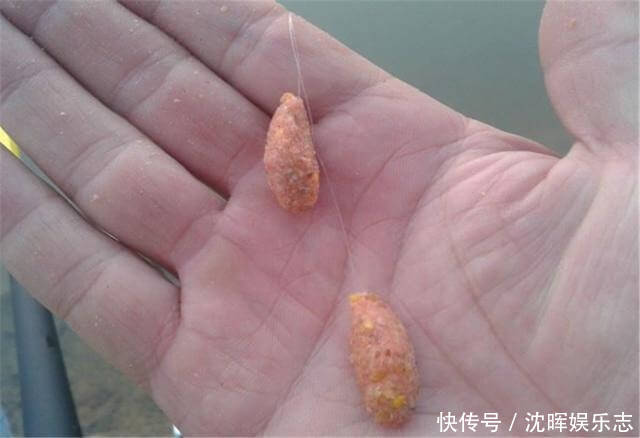 水体|夏季是钓鲤鱼的好时节，用饵技巧值得关注，爱钓鱼的你别错过