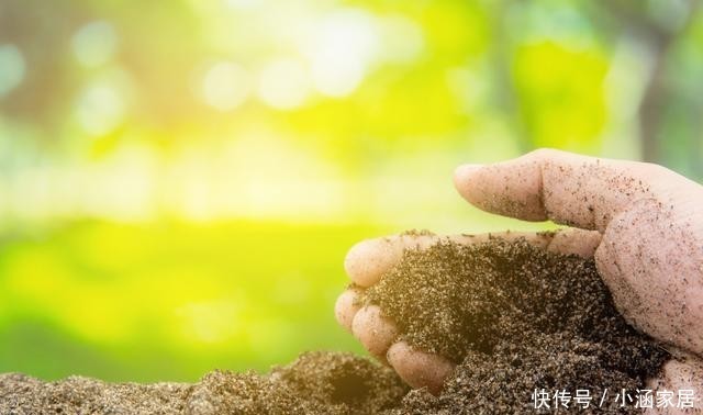 植物|养花不能用的3种土、4种水,不利于花卉生长,啥花都养不久
