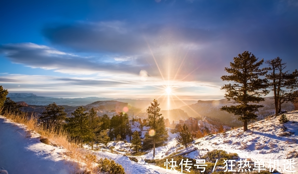 闻语#王安石赞美冬日暖阳,抒写了一首七律,清新质朴,愉悦中略带忧伤