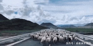 绳子|“绑根绳子能防止沙子掉吗”没看到那两根棍子吗哈哈哈