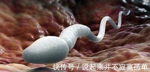 香烟盒|男性最伤害精子的6个坏习惯, 奉劝各位男性一条都别沾!