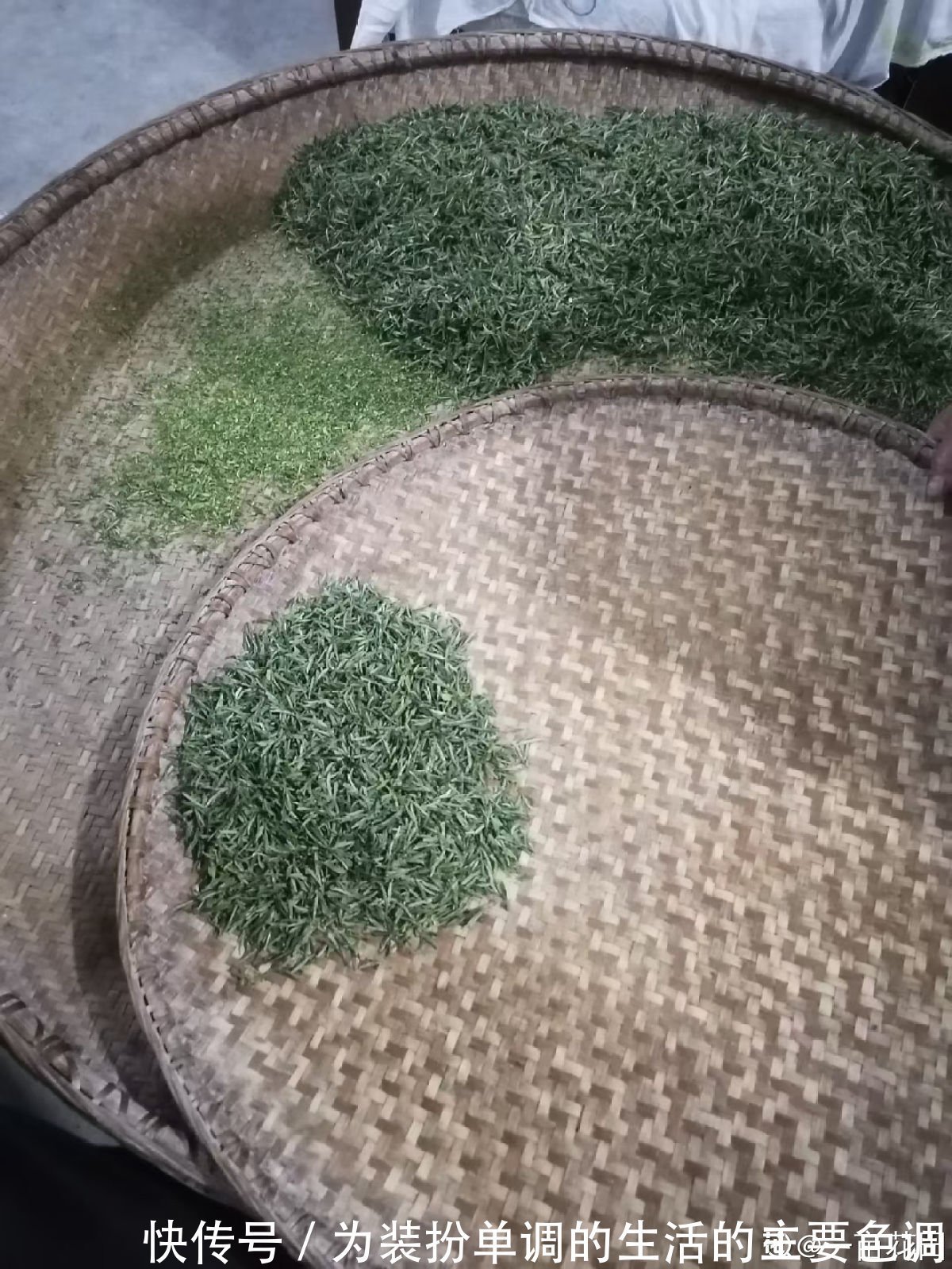 茶叶扔掉太浪费,泡过的、过期的还能这样用,家里老人都不知道