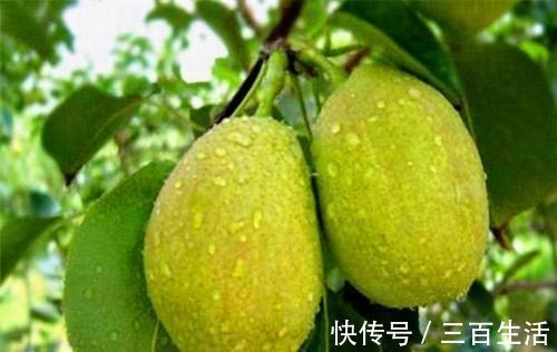滋補身體|女性過了40歲常吃3種食物，補充營養，滋補身體，好吃又不貴