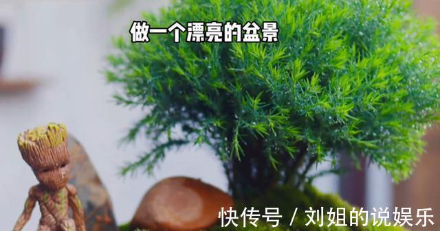 没人要的花,变身百元不换的盆景,简单三步搞定