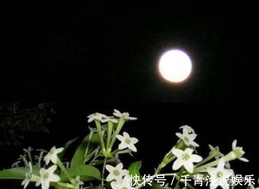 临近夏天蚊虫变多了,这3种花香蚊虫最怕,一家老小都能安心度夏