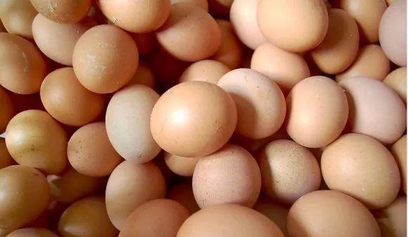 花儿|养花肥:盆里放个蛋,1年不用施肥,花儿照样开爆盆!