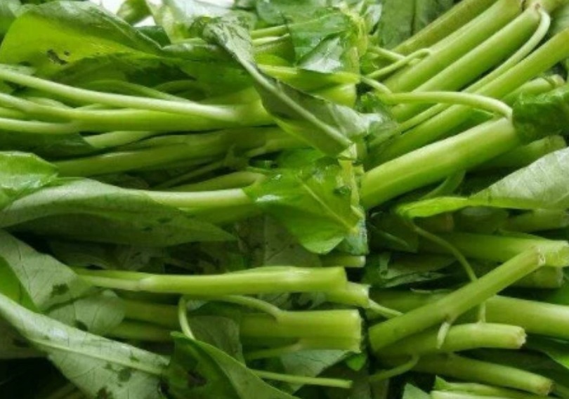 张医师|宁愿饿着，也不碰4种“脏蔬菜”，多半细菌成“群”，望周知