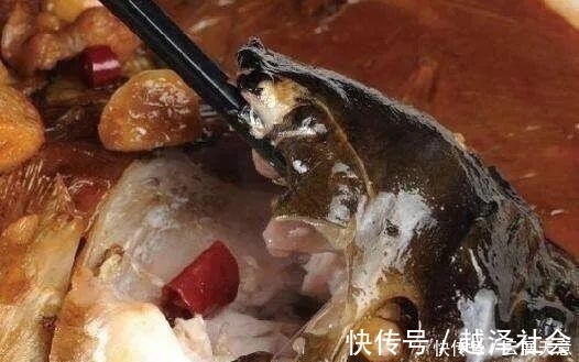 鱼最好吃的部位在哪里筷子先夹4个地方的,不是吃货就是行家