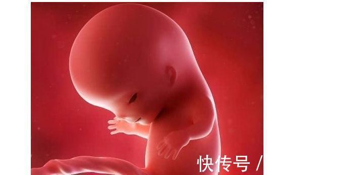 胎动|怀孕后那个月份，孕妈尽量注意点，预防胎儿缺氧