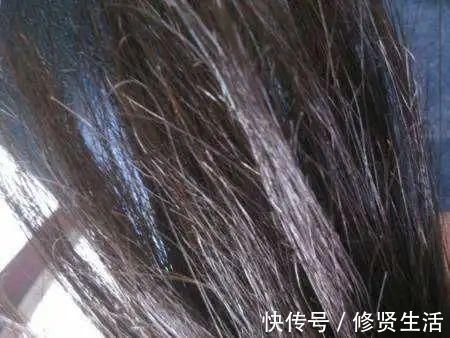 黑色食物|一根头发十几个分叉让人困扰,一旦分叉真的没救了吗